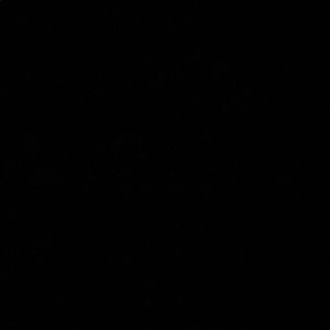 Meet your Posher, Isabel